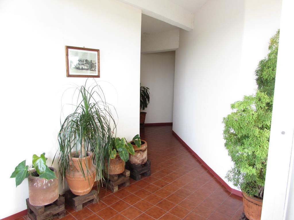 Hotel Puerto Piedra 埃斯孔迪多港 外观 照片